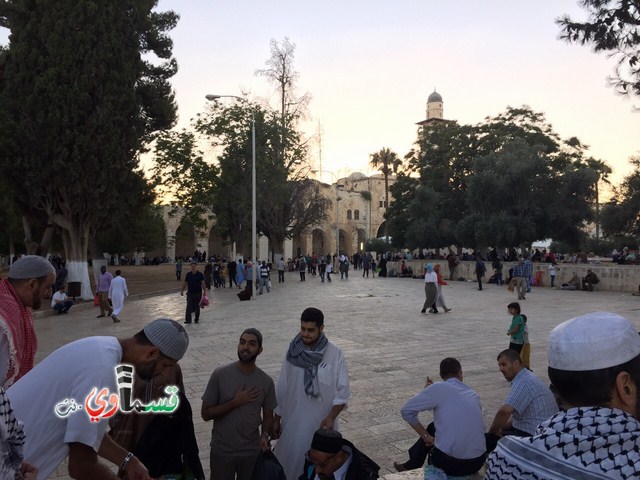 كفرقاسم : شباب كفرقاسم في رحاب المسجد الاقصى في العشر الاواخر من شهر رمضان المبارك 